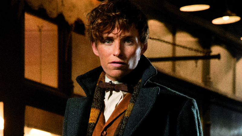 Newt and his Hufflepuff scarf.